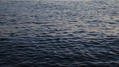 Peaceful ocean surface with gentle waves and sunset reflection. Perfect for calming backgrounds.