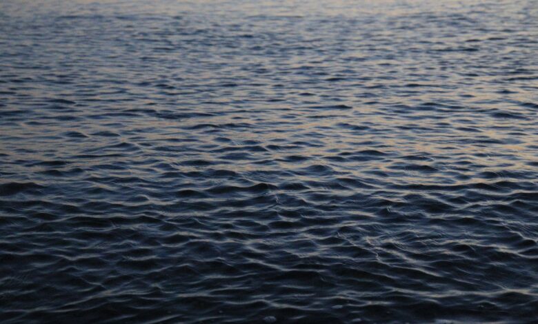 Peaceful ocean surface with gentle waves and sunset reflection. Perfect for calming backgrounds.