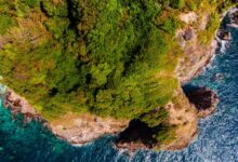 A stunning aerial view of a lush green cliffside meeting the turquoise ocean waves below.
