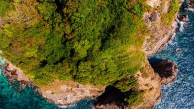 A stunning aerial view of a lush green cliffside meeting the turquoise ocean waves below.