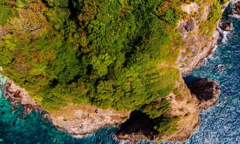A stunning aerial view of a lush green cliffside meeting the turquoise ocean waves below.