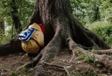 A child in a yellow coat looks curiously at the base of a large tree in a wooded area.