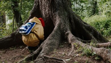 A child in a yellow coat looks curiously at the base of a large tree in a wooded area.