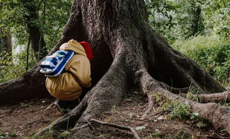 A child in a yellow coat looks curiously at the base of a large tree in a wooded area.