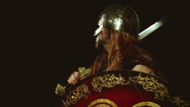 Side profile of a Viking warrior in traditional armor, holding a decorated shield and sword.