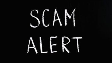 Blackboard with 'Scam Alert' written in white chalk, emphasizing a warning concept.