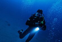 A scuba diver exploring the deep ocean with a flashlight, surrounded by bubbles and marine life.