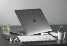 Minimalist desk setup with a laptop, keyboard, mouse, and plants.