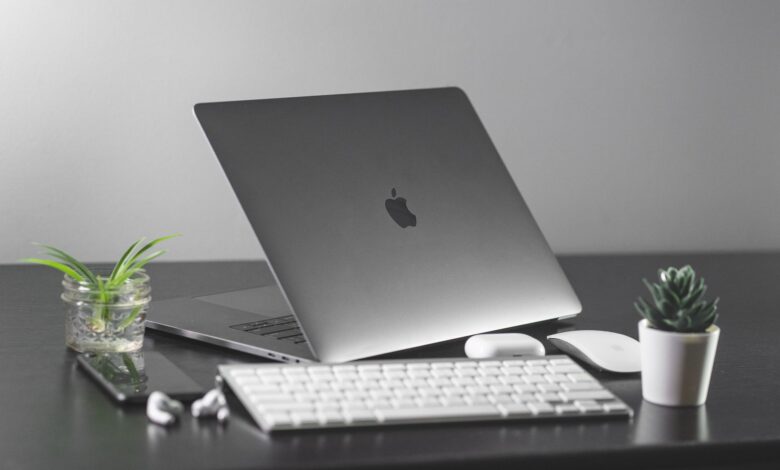 Minimalist desk setup with a laptop, keyboard, mouse, and plants.