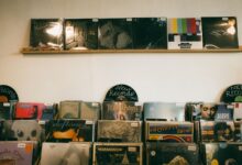 Vintage vinyl records neatly displayed in a cozy indoor record shop, ideal for music enthusiasts.