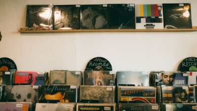 Vintage vinyl records neatly displayed in a cozy indoor record shop, ideal for music enthusiasts.