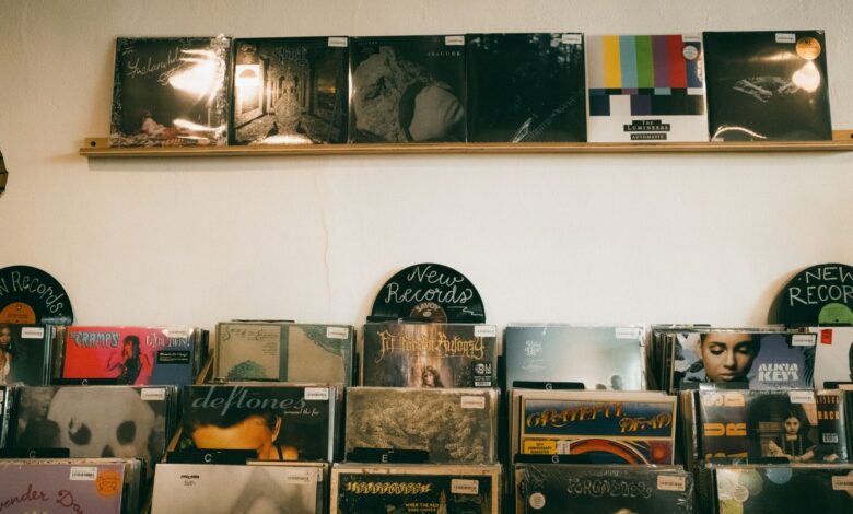 Vintage vinyl records neatly displayed in a cozy indoor record shop, ideal for music enthusiasts.