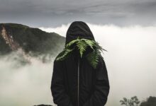 Mysterious figure wearing a hooded jacket obscured by ferns in a foggy mountain landscape.