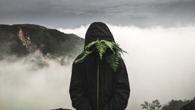 Mysterious figure wearing a hooded jacket obscured by ferns in a foggy mountain landscape.
