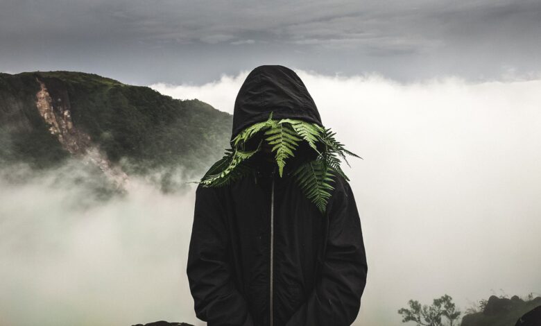 Mysterious figure wearing a hooded jacket obscured by ferns in a foggy mountain landscape.