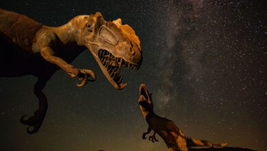 Silhouetted dinosaur statues under a vivid Milky Way night sky.