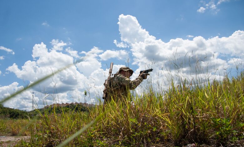 Soldier in camouflage navigating grassy field under clear blue sky, perfect for tactical and military themes.
