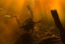 Scuba diver exploring a sunlit underwater landscape with vibrant hues.