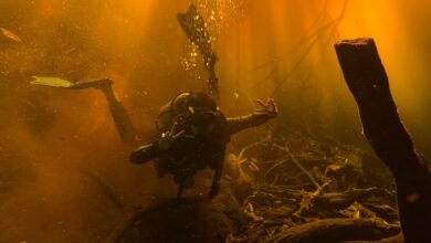 Scuba diver exploring a sunlit underwater landscape with vibrant hues.