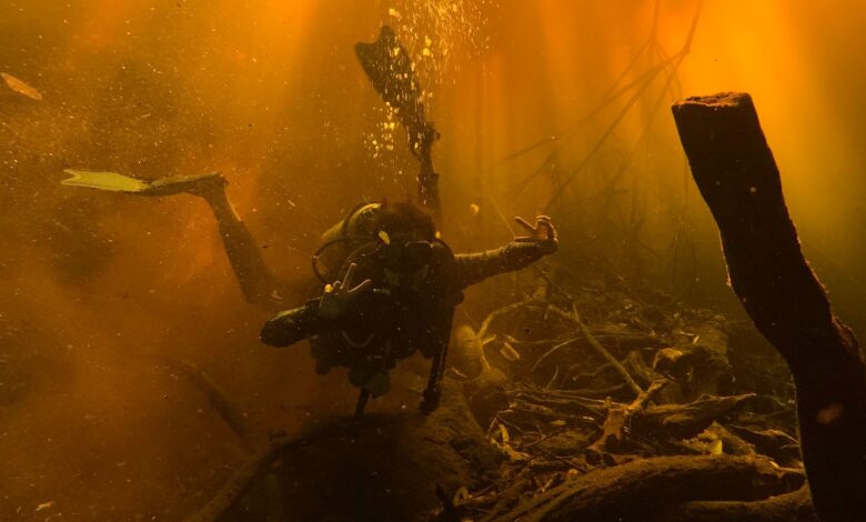 Scuba diver exploring a sunlit underwater landscape with vibrant hues.