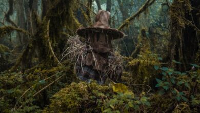 A mysterious figure with a straw hat hiding in a dense, mystical forest in Choachí, Colombia.