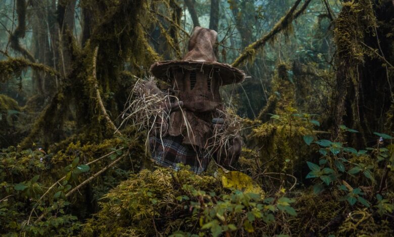 A mysterious figure with a straw hat hiding in a dense, mystical forest in Choachí, Colombia.