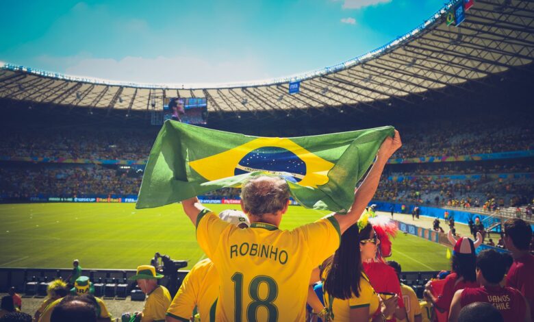 Excited Brazilian fans holding flag at soccer match in vibrant stadium atmosphere.