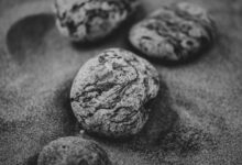 Detailed black and white photo of textured stones resting on a sandy surface, showcasing natural patterns.