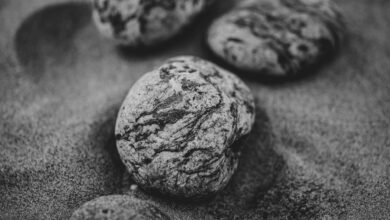 Detailed black and white photo of textured stones resting on a sandy surface, showcasing natural patterns.