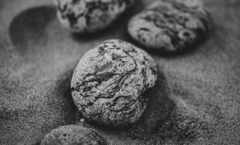 Detailed black and white photo of textured stones resting on a sandy surface, showcasing natural patterns.