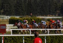 Jockeys racing horses on a sunny day at the track, capturing intense competition and speed.