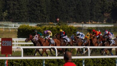 Jockeys racing horses on a sunny day at the track, capturing intense competition and speed.