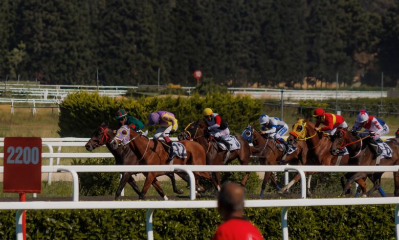 Jockeys racing horses on a sunny day at the track, capturing intense competition and speed.
