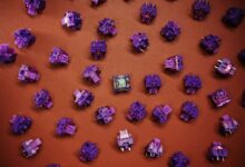Flat lay of purple mechanical keyboard switches scattered on a brown surface.