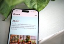 Close-up shot of a smartphone screen showing the OpenAI website with greenery in the background.