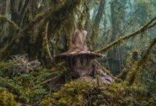 Spooky witch hat amidst dense mossy trees in Choachí, Colombia forest.