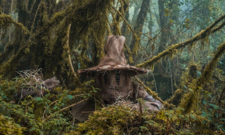 Spooky witch hat amidst dense mossy trees in Choachí, Colombia forest.