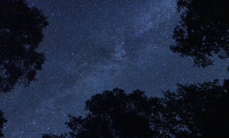A breathtaking view of the starry sky framed by trees in Tavascan, Spain.