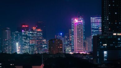 Dynamic cityscape with neon-lit skyscrapers at night, capturing urban energy and vibrant city life.