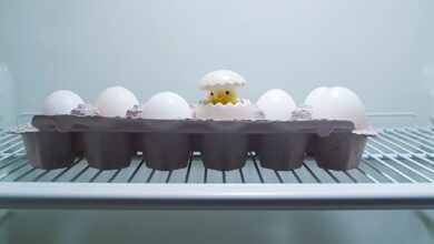 A whimsical egg carton with a toy chick inside a refrigerator, New York.