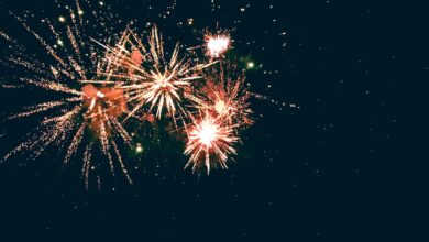 Dazzling fireworks illuminating the night, representing festive celebration and joy.