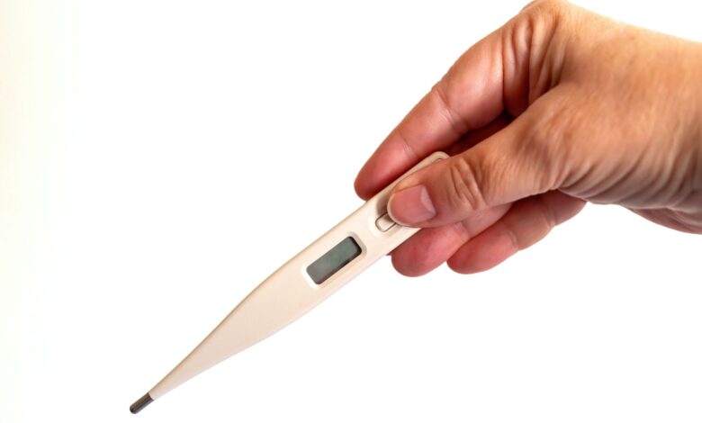 Close-up of a hand holding a digital thermometer, ideal for health and medical concepts.