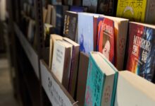 Books neatly arranged on a library shelf, showcasing a variety of genres and languages.