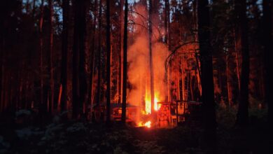 A captivating image of a blazing campfire surrounded by tall trees in a dense forest during nighttime.