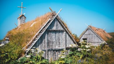 Exterior of lumber shed and church among lush green plants in traditional Norstead Viking Village against cloudless blue sky