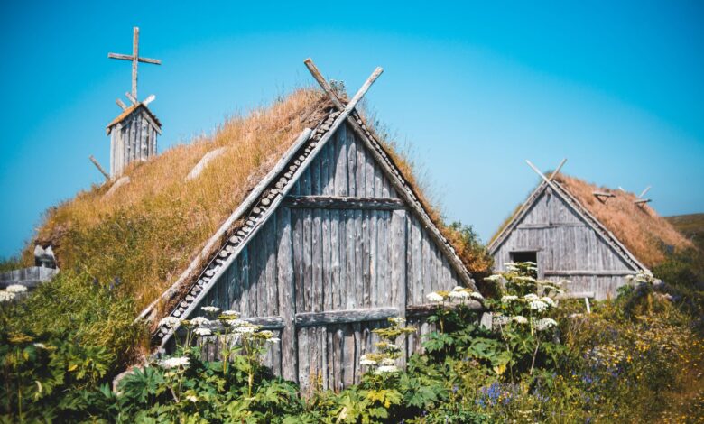 Exterior of lumber shed and church among lush green plants in traditional Norstead Viking Village against cloudless blue sky
