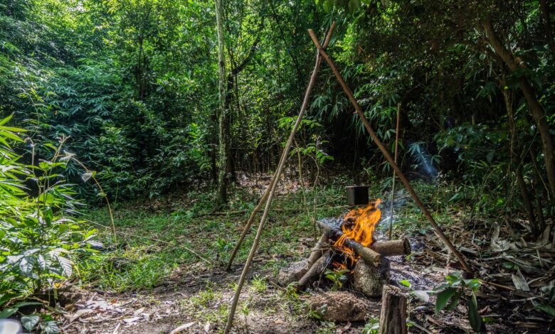 A serene forest scene with a campfire and pot cooking amidst green foliage.