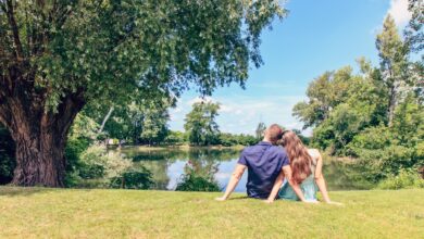 A couple sitting by a lake enjoying a sunny day in a lush park.