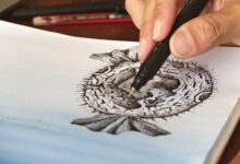 A person skillfully drawing a pufferfish illustration with fine details using a pen.
