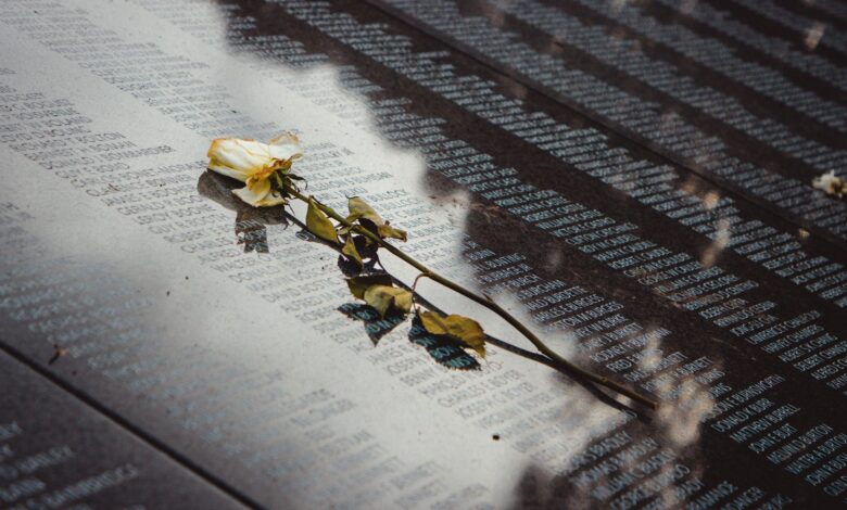 A white rose placed on a reflective memorial wall listing names, conveying remembrance.